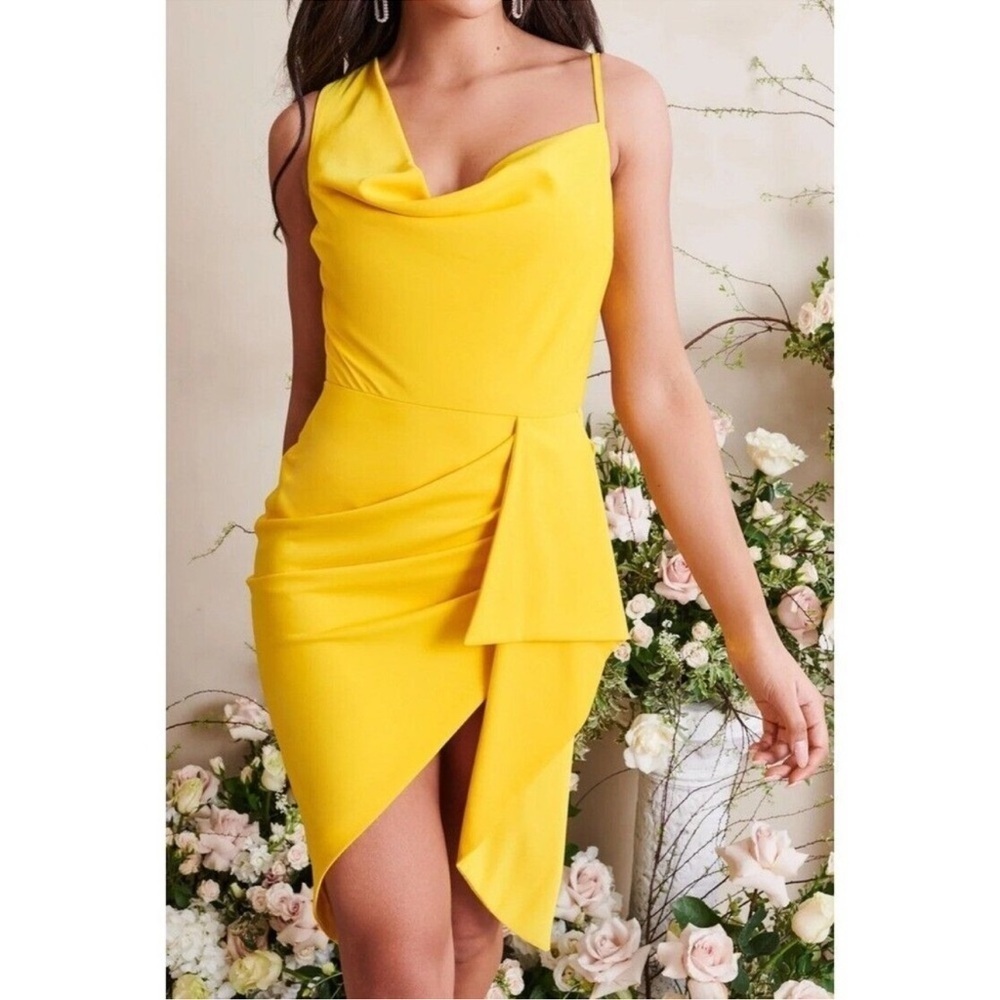 Lavish Alice Emma Cowl Dress